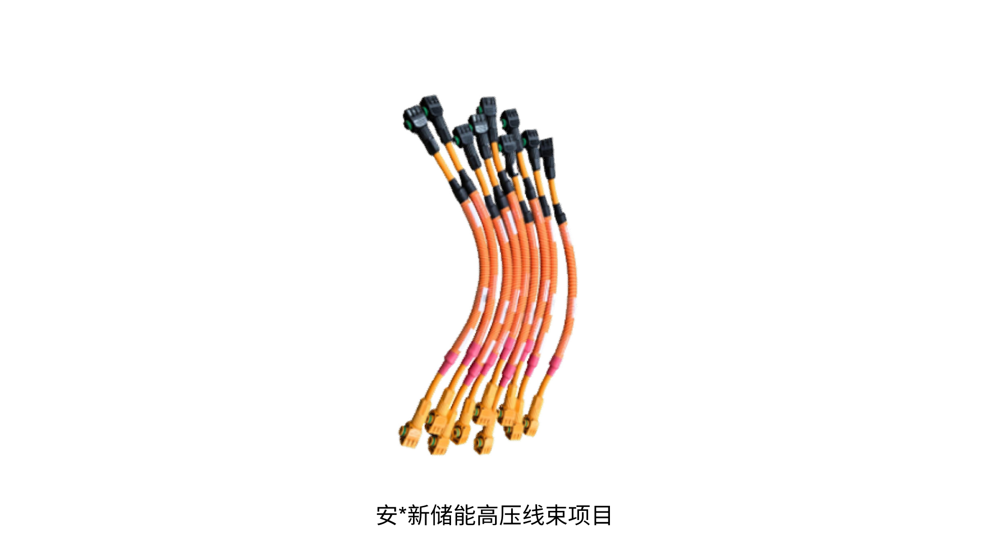 安新储能高压线束项目.png